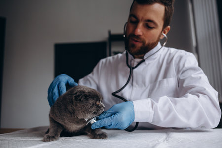 Shot of a young handsome bearded professional vet smiling joyfully working at his office petting beautiful cat after medical examination copyspace doctor medicine profession comfort relaxの写真素材