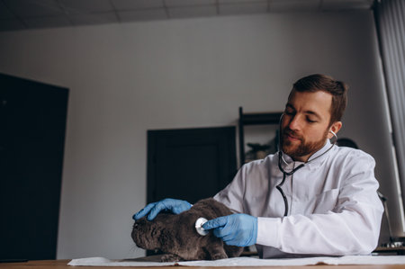 Man veterinarian listening cat with stethoscope during appointment in veterinary clinicの写真素材