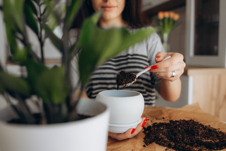 lovely housewife with flower in pot and gardening setの写真素材
