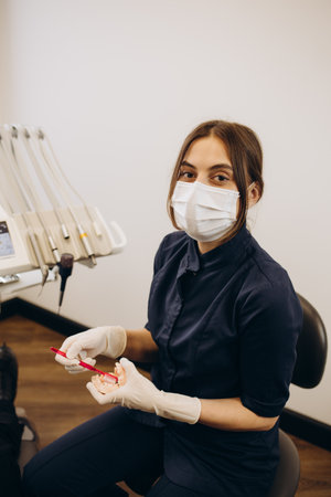 Woman dentist with gloves showing on a jaw model how to clean the teeth with tooth brush properly and rightの写真素材