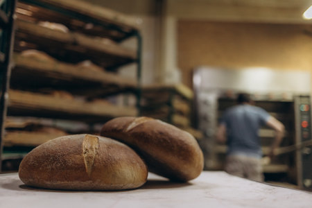 Baked Breads on the production line at the bakeryの写真素材