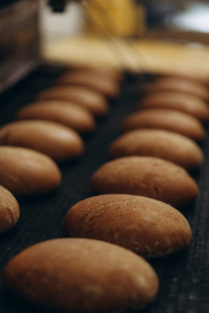 A lot of bread prepare to move on in the shelf. Bread bakery food factory production with fresh...