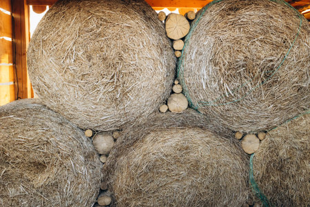 A group of large hay bales neatly stacked together inside a wooden barn. The image highlights agricultural practices and rural life, providing a cozy feeling of warmth and care for the harvest.の写真素材