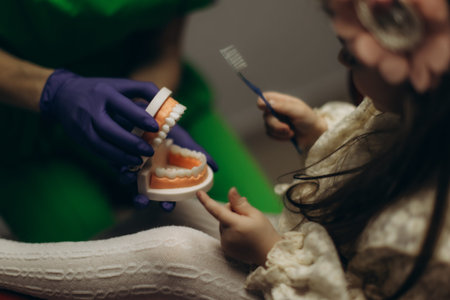 A dentist demonstrates proper tooth brushing technique using a model to a child. The interaction...