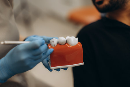 Dentist pointing at a teeth model while explaining a dental procedure to a patient in a modern clinic setting, emphasizing oral health educationの写真素材