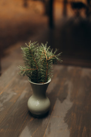 Pine tree branches creating a natural decoration in a minimalist vase, adding a rustic accent to a dark wooden surfaceの写真素材