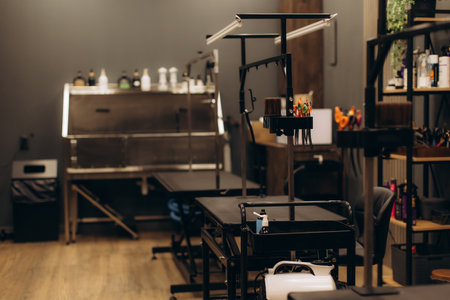 Modern pet grooming salon featuring multiple stations with tables, bathing area, and tools, ready for animal careの写真素材