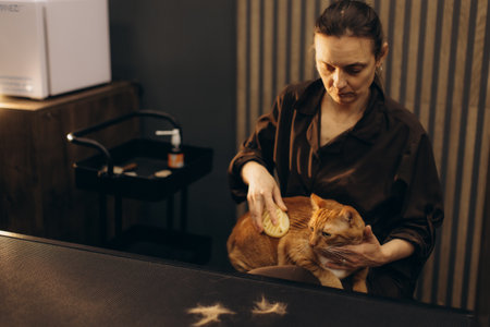 Woman brushing a ginger cat, removing excess fur. Focus on pet care, grooming routine, and domestic life with an animal companionの写真素材