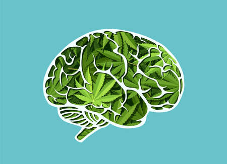 Vector of a human brain made of marijuana leavesのイラスト素材