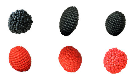 Collection of berries, various shapes of six fruits of raspberries, and blackberries isolated on...