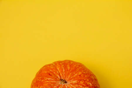 Beautiful round pumpkins on a bright orange background, place for text, perfect autumn festive background, top view. Invitation, Thanksgiving. Healthy eatingの写真素材