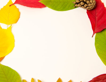 Bright yellow autumn leaves, chestnuts, pine cones and orange physalis flowers on a white background...