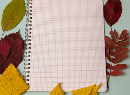 open square notebook and autumn leaf on a blue background, creativity, autumn mood. Top view, copy space, mock upの写真素材