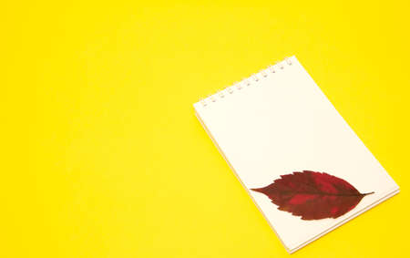 Autumn workplace with a notebook, autumn leaves on a bright yellow background. Workflow concept. Desktop. Flat lay. Place for textの写真素材
