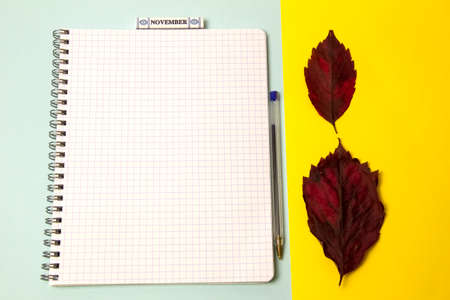 Notebook and autumn leaves on blue background. Top view.の写真素材