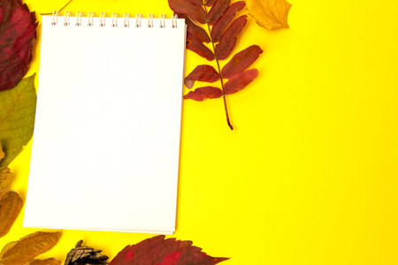 Blank notebook, rowan berries and autumn leaves. Autumn mood. Place for your text. Copy space, top view, mock upの写真素材