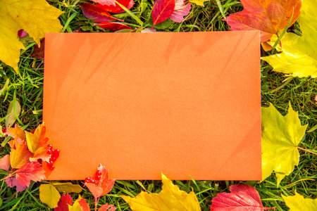 Place for text pink with autumn leaves in green grass. Autumn harmony. Layout, top view.