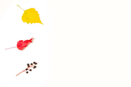 Simple autumn frame made of colored leaves with place for text. Mock up, top view, copy spaceの写真素材