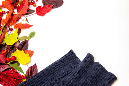 Simple autumn frame made of colored leaves with place for text. Mock up, top view, copy spaceの写真素材