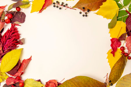 Autumn composition in the form of a frame with a place for text from yellow, green and red dry...