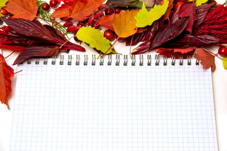 A blank notebook surrounded by colorful autumn leaves and a metal pen with a faucet cap. Autumn concept. Place for text, top view, layoutの写真素材