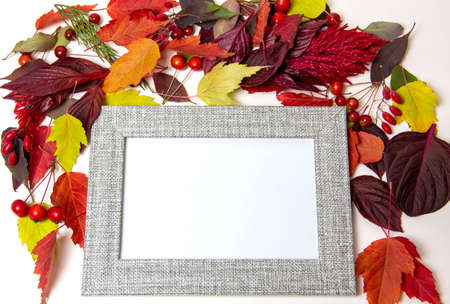 Photo frame of gray color among colorful autumn leaves. Autumn mood, top view, place for text, mockup, copy spaceの写真素材
