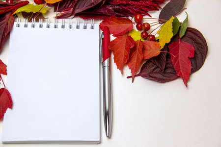 A blank notebook surrounded by colorful autumn leaves and a metal pen with a faucet cap. Autumn concept. Place for text, top view, layoutの写真素材