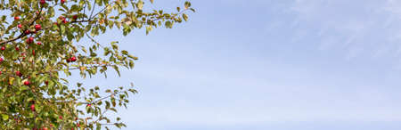 The surface of gray stones lay on the floor, mud and pebbles. It was crushed and cracked. Use for website background or banner and template. copy spaceの写真素材