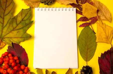Blank open notepad with pen and autumn leaves on yellow background. Mockup Copy space Top view Flat lay Template for your design, invitation, postcard.の写真素材