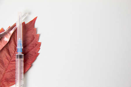 Syringe and ampoule with medicine lying on red wood sheet on white backgroundの写真素材