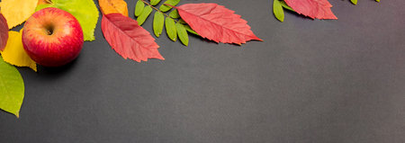 Yellow, green and red autumn tree leaves, apples. Excellent seasonal texture with autumnal mood....