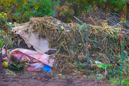 compost heap with garbage in the country and in the garden, a barrel for incineration of garbage. wasteの写真素材
