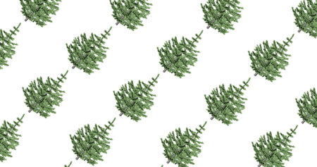 3D image Christmas tree pattern, in motion on a White background. holiday, nature, winter,...