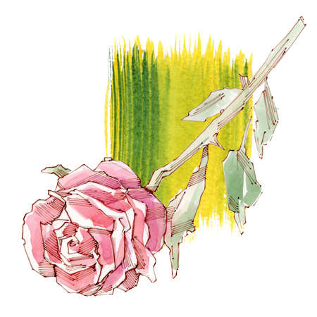 Watercolor set of beautiful red rosesの写真素材