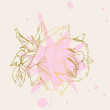 Hand drawn rose. Vector illustration. Vintage tattoo style rose. Flower motif sketch for design.のイラスト素材