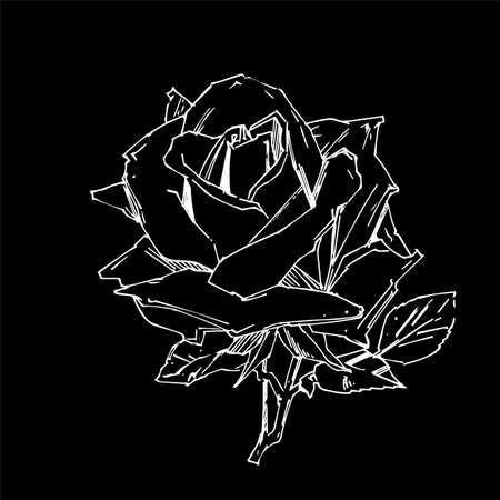 Hand drawn rose. Vector illustration. Vintage tattoo style rose. Flower motif sketch for design.のイラスト素材