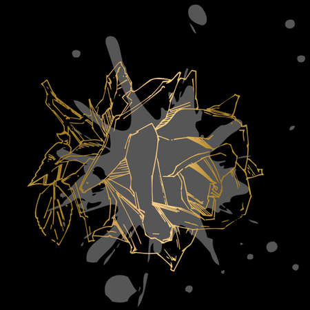 Hand drawn rose. Vector illustration. Vintage tattoo style rose. Flower motif sketch for design.のイラスト素材