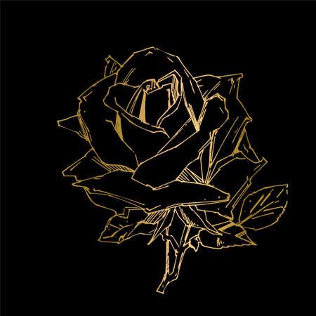 Hand drawn rose. Vector illustration. Vintage tattoo style rose. Flower motif sketch for design.のイラスト素材