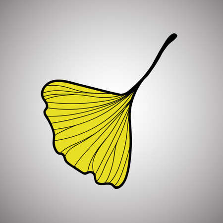 Vector illustration of ginkgo biloba leaf. ink line art design. Vector illustrationのイラスト素材