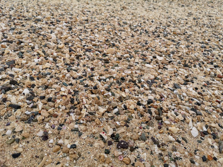 Sea shore sand, shells, corrals, stones, rocks background texture on the beach. High quality photoの写真素材