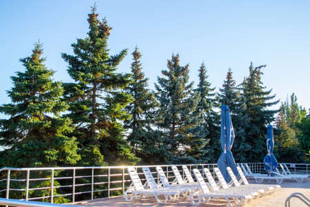 empty sun loungers near the pool surrounded by pine forest. High quality photoの写真素材