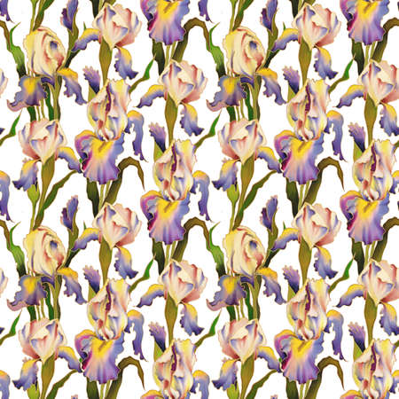 Bright hand-painted watercolor flowers of Iris. Seamless pattern.の写真素材