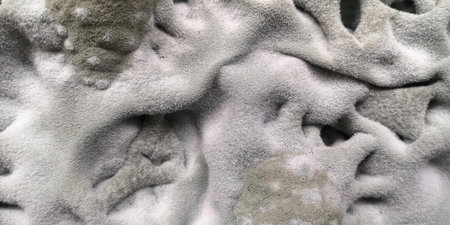 natural mold texture. Fluffy abstract background. selected focus, bluriness,bokeh. High quality...
