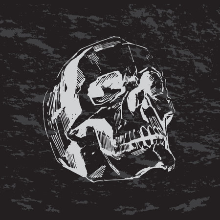 Hand-painted Human skull vector illustration at chalk style isolatedのイラスト素材