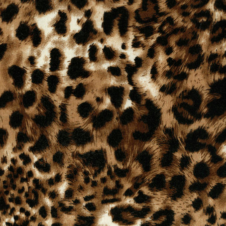 Luxury leopard background. animal print. Snow Leopard skin Cheetah fur. Jaguar spots. .の写真素材
