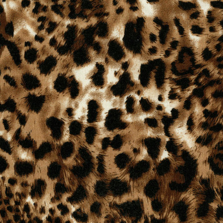Luxury leopard background. animal print. Snow Leopard skin Cheetah fur. Jaguar spots. .の写真素材
