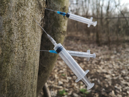 Conceptual Photo,dangerous find. Discarded used dirty syringes stuck in the tree. Drug injections, junkies den hidden place shelter, heroin or pervitin usage consumptionの写真素材