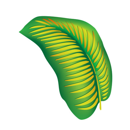 Palm monstera leaves with hibiscus and pink plumeria flowers abstract background. Trendy summer exotic flower print. Tropical exotic flower set.のイラスト素材