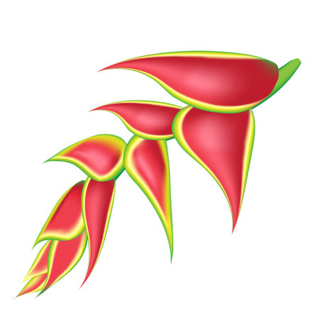 Palm monstera leaves with hibiscus and pink plumeria flowers abstract background. Trendy summer exotic flower print. Tropical exotic flower set.のイラスト素材