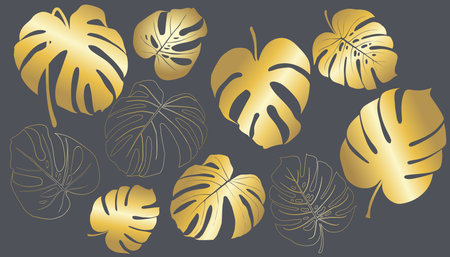 Monstera Deliciosa plant leaf from tropical forests isolated. Vector for greeting cards, flyers, invitations, web design. Vector illustrationのイラスト素材
